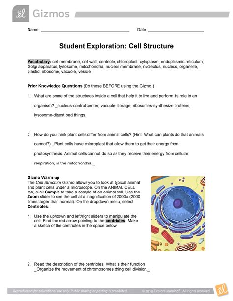 Name: _ <b>Answers</b> _ _ Date: _ Student Exploration: <b>Cell</b> <b>Structure</b> Vocabulary :. . Gizmo cell structure answer key activity a
